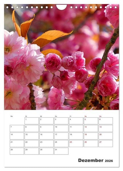 Produktbild: BL&Uuml;TENZAUBER (Wandkalender 2026 DIN A4 hoch), CALVENDO Monatskalender