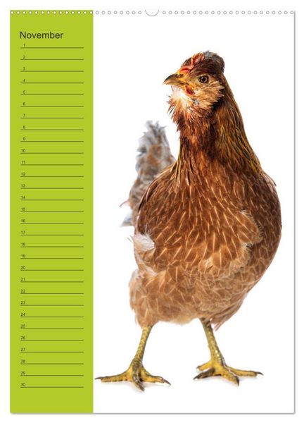 Produktbild: Kunterbunte H&uuml;hner Truppe (hochwertiger Premium Wandkalender 2026 DIN A2 hoch), Kunstdruck in Hochglanz