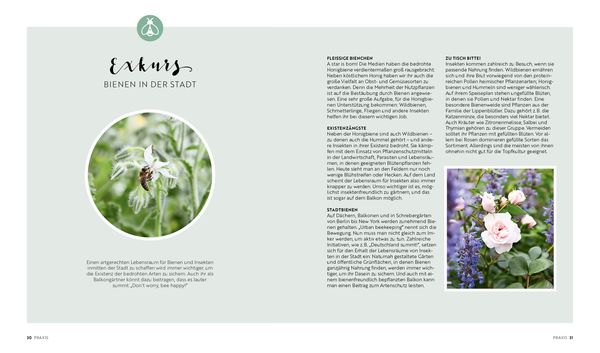 Produktbild: Mein Biobalkon