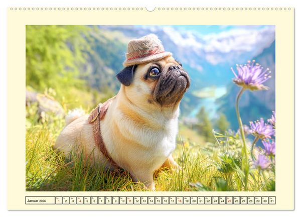 Produktbild: Mops trifft Berglust. Fidele Gipfelst&uuml;rmer im H&ouml;henrausch (hochwertiger Premium Wandkalender 2026 DIN A2 quer), Kunstdruck in Hochglanz