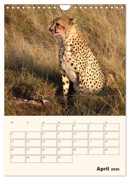 Produktbild: Kenia - Terminplaner (Wandkalender 2026 DIN A4 hoch), CALVENDO Monatskalender