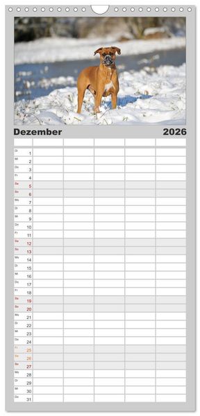 Produktbild: Familienplaner 2026 - Gut - besser - Boxer mit 5 Spalten (Wandkalender, 21 x 45 cm) CALVENDO