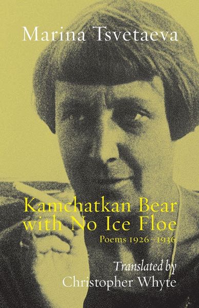 Produktbild: Kamchatkan Bear with No Ice Floe
