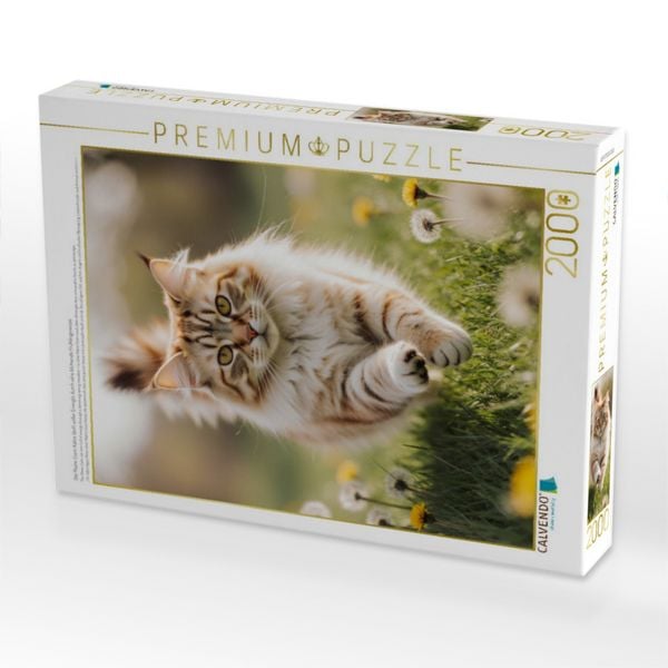 Produktbild: CALVENDO Puzzle Die Maine Coon Katze l&auml;uft voller Energie durch eine bl&uuml;hende Fr&uuml;hlingswiese. | 2000 Teile Lege-Gr&ouml;&szlig;e 90x67cm Foto-Puzzle f&uuml;r gl&uuml;cklic