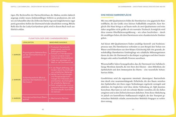 Produktbild: Das hilft bei Leaky Gut - Wie ein durchlässiger Darm uns krank macht und was wir dagegen tun können. Alles über Reizdarm & Co.