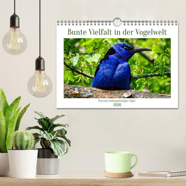 Produktbild: Bunte Vielfalt in der Vogelwelt (Wandkalender 2026 DIN A4 quer), CALVENDO Monatskalender