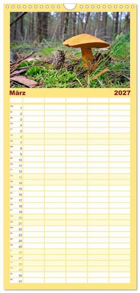 Produktbild: Familienplaner 2027 - Heimische Pilze mit 5 Spalten (Wandkalender, 21 x 45 cm) CALVENDO