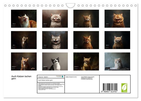 Produktbild: Auch Katzen lachen gern (Wandkalender 2026 DIN A4 quer), CALVENDO Monatskalender