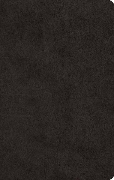 Produktbild: ESV Large Print Value Thinline Bible