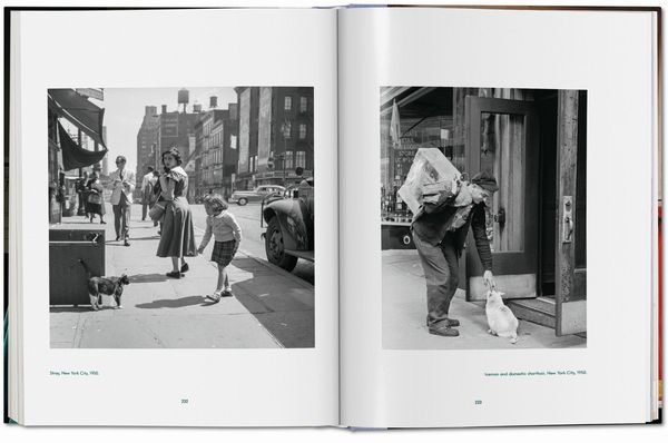 Produktbild: Walter Chandoha. Cats. Photographs 1942&ndash;2018