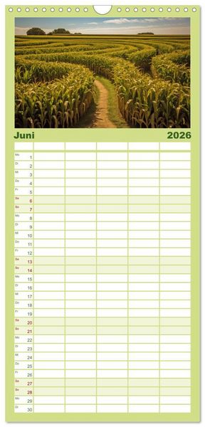 Produktbild: Familienplaner 2026 - Irrg&auml;rten und Labyrinthe mit 5 Spalten (Wandkalender, 21 x 45 cm) CALVENDO