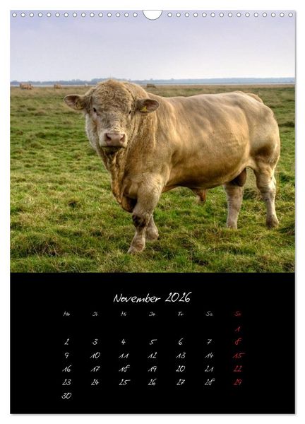 Produktbild: Tiere (Wandkalender 2026 DIN A3 hoch), CALVENDO Monatskalender