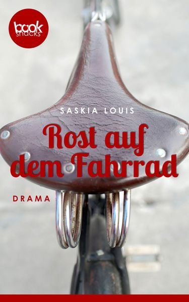 Produktbild: Rost auf dem Fahrrad