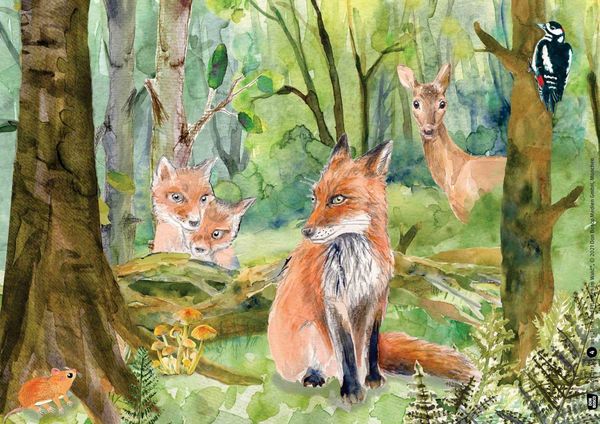 Produktbild: Tiere und Pflanzen im Wald. Kamishibai Bildkartenset