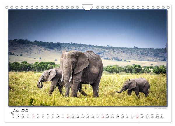 Produktbild: Abenteuer Masai Mara (Wandkalender 2026 DIN A4 quer), CALVENDO Monatskalender