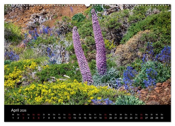 Produktbild: Naturblicke - La Palma (Wandkalender 2026 DIN A2 quer), CALVENDO Monatskalender