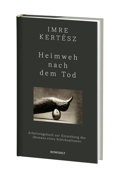 Produktbild: Heimweh nach dem Tod
