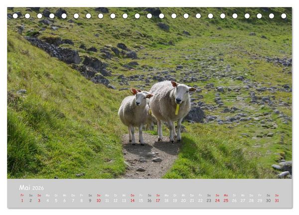 Produktbild: Ganz sch&ouml;n Schaf (Tischkalender 2026 DIN A5 quer), CALVENDO Monatskalender