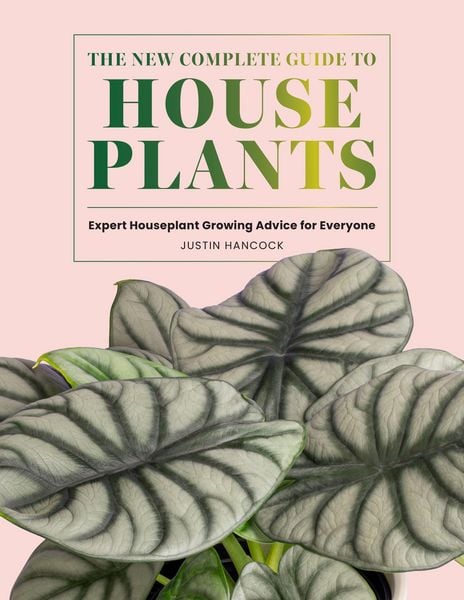 Produktbild: The New Complete Guide to Houseplants