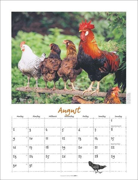 Produktbild: Der H&uuml;hnerkalender 2027