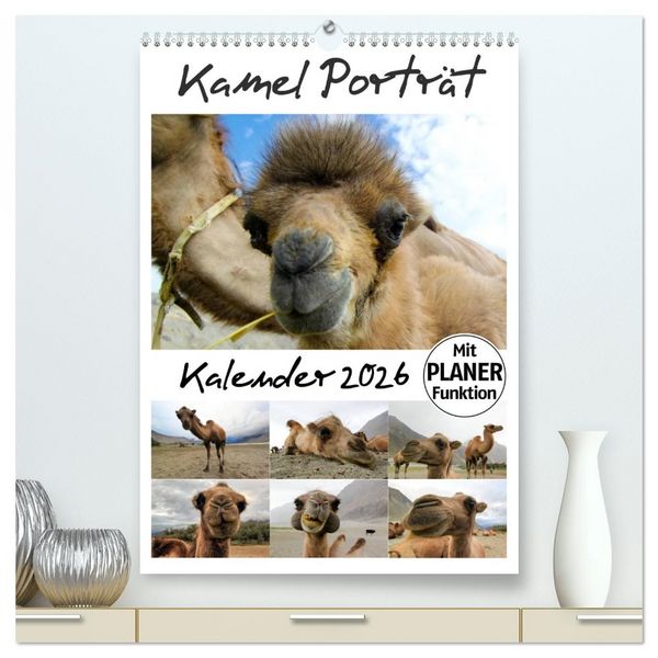 Produktbild: Kamel Portr&auml;t (hochwertiger Premium Wandkalender 2026 DIN A2 hoch), Kunstdruck in Hochglanz
