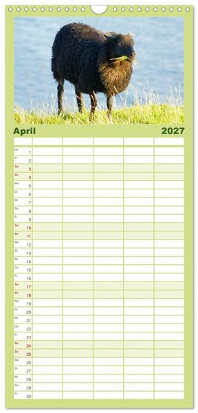 Produktbild: Familienplaner 2027 - Das Leben der Schafe mit 5 Spalten (Wandkalender, 21 x 45 cm) CALVENDO