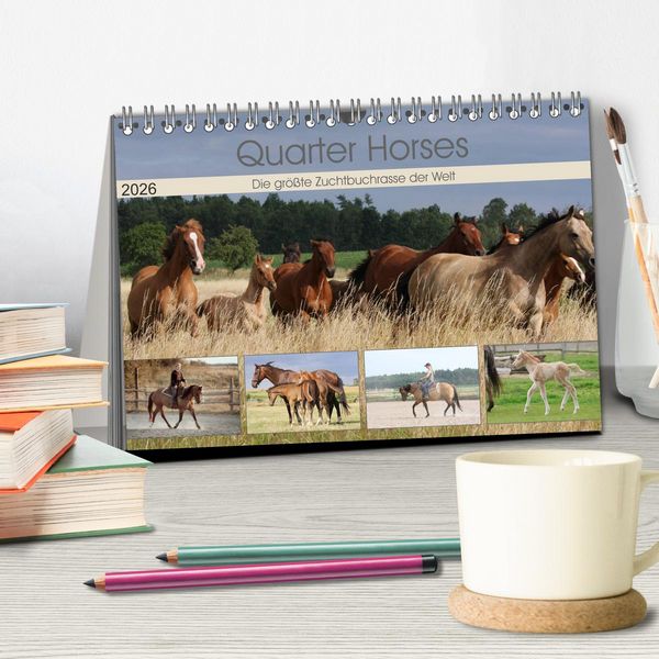Produktbild: Quarter Horses - Die gr&ouml;&szlig;te Zuchtbuchrasse der Welt (Tischkalender 2026 DIN A5 quer), CALVENDO Monatskalender