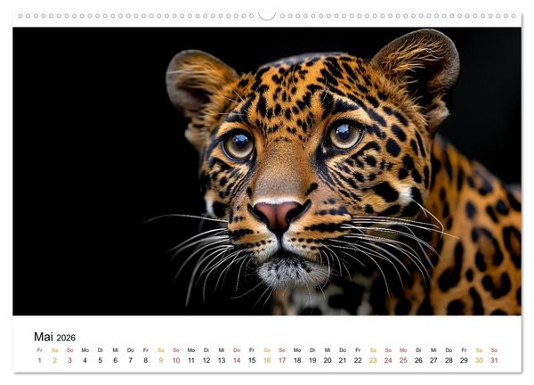 Produktbild: Magie der Tierwelt (Wandkalender 2026 DIN A2 quer), CALVENDO Monatskalender