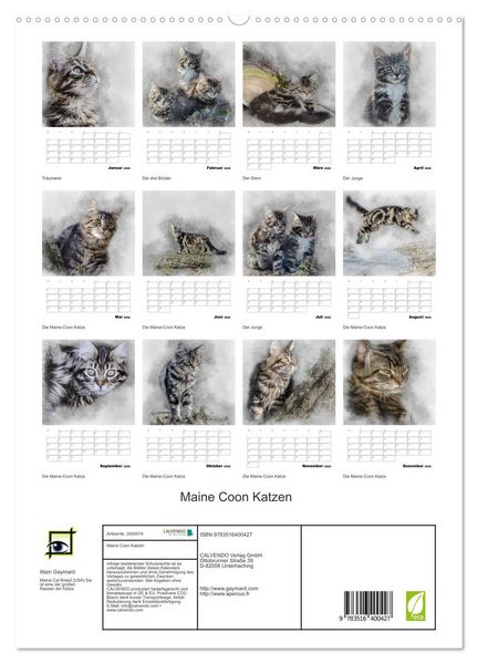 Produktbild: Maine Coon Katzen (hochwertiger Premium Wandkalender 2026 DIN A2 hoch), Kunstdruck in Hochglanz