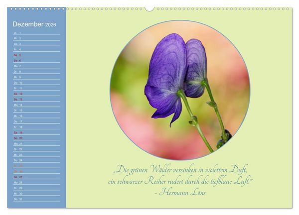 Produktbild: Flora in royalem Blau (hochwertiger Premium Wandkalender 2026 DIN A2 quer), Kunstdruck in Hochglanz