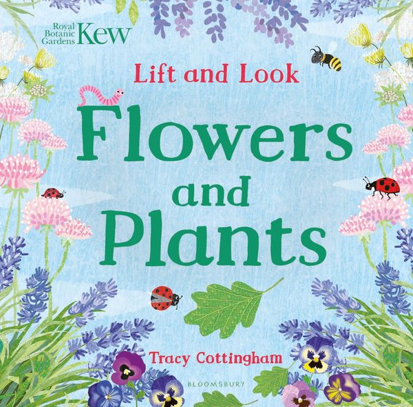 Produktbild: Kew: Lift and Look Flowers and Plants