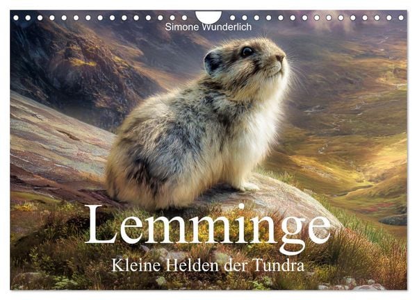 Produktbild: Lemminge - Kleine Helden der Tundra (Wandkalender 2027 DIN A4 quer), CALVENDO Monatskalender