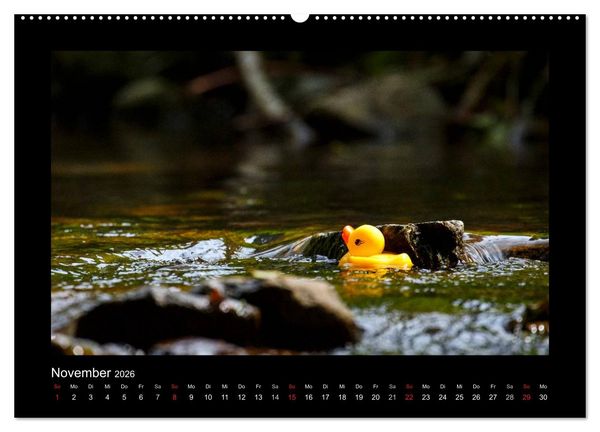 Produktbild: Enten-Rennen (hochwertiger Premium Wandkalender 2026 DIN A2 quer), Kunstdruck in Hochglanz