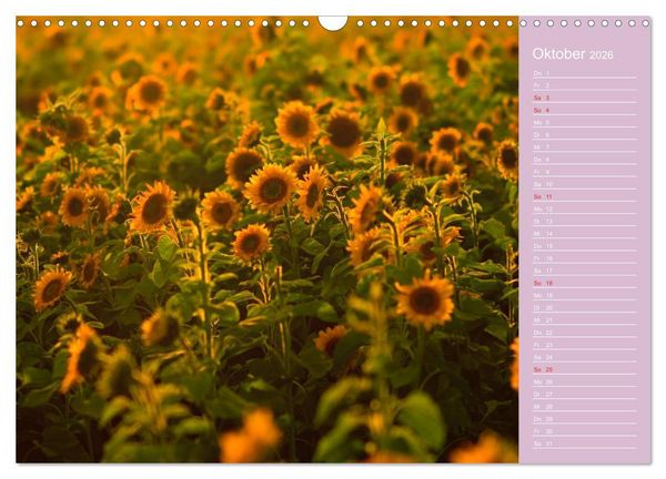 Produktbild: Blumenfreude (Wandkalender 2026 DIN A3 quer), CALVENDO Monatskalender