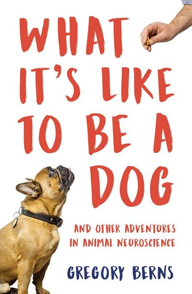 Produktbild: What It's Like to Be a Dog