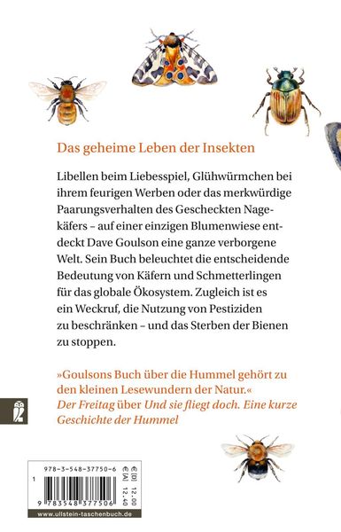 Produktbild: Das Summen in der Wiese