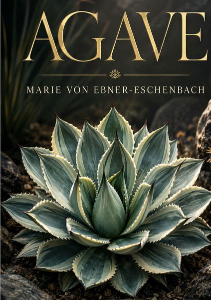 Produktbild: Agave