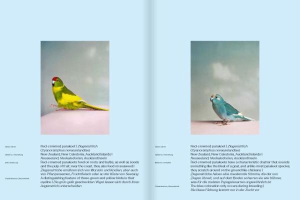 Produktbild: Kristin Schnell