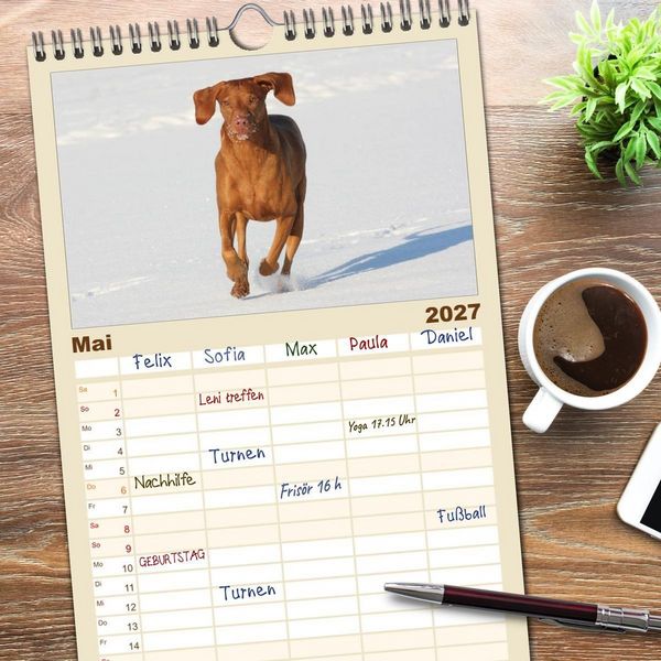 Produktbild: Familienplaner 2027 - Magyar Vizsla - Vielseitiger Jagdhund mit 5 Spalten (Wandkalender, 21 x 45 cm) CALVENDO
