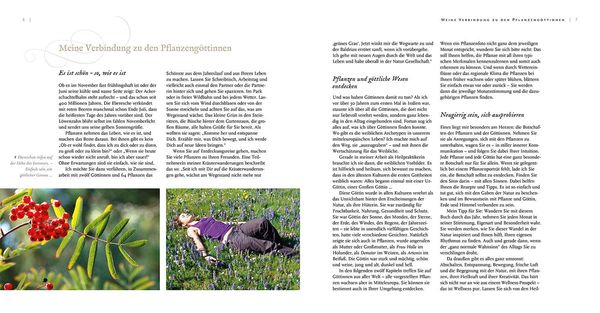 Produktbild: Pflanzeng&ouml;ttinnen und ihre Heilkr&auml;uter