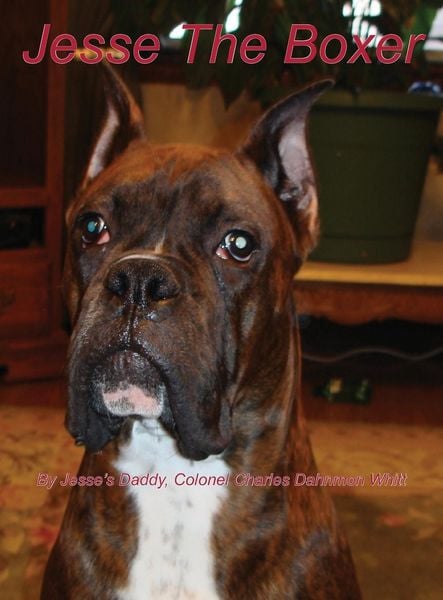Produktbild: Jesse The Boxer