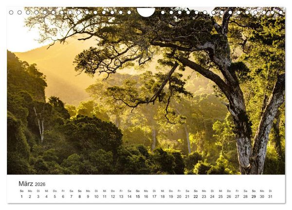 Produktbild: Bezauberndes S&uuml;dafrika (Wandkalender 2026 DIN A4 quer), CALVENDO Monatskalender