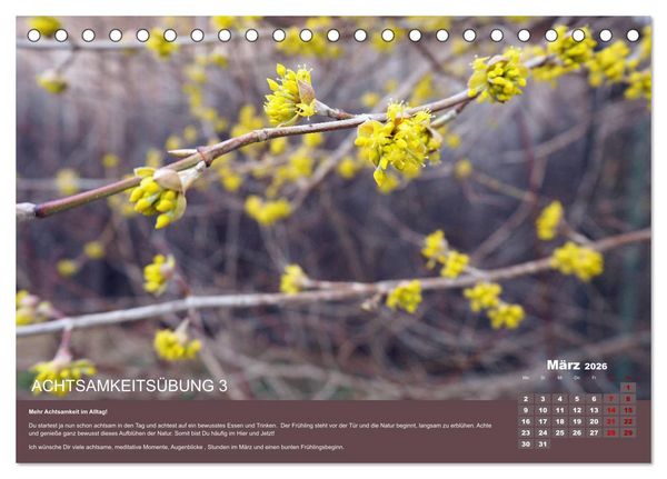 Produktbild: Achtsamkeit, 12 &Uuml;bungen zu mehr Achtsamkeit. (Tischkalender 2026 DIN A5 quer), CALVENDO Monatskalender