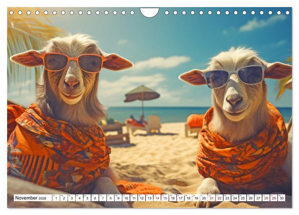 Produktbild: Sonnige Schnappsch&uuml;sse - Ein Jahr voller fr&ouml;hlicher Tiere (Wandkalender 2026 DIN A4 quer), CALVENDO Monatskalender