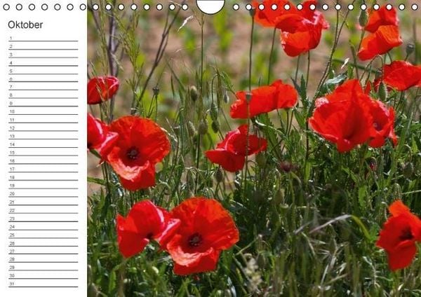 Produktbild: Ich denk an Dich ... Pers&ouml;nlicher Terminkalender (Wandkalender immerw&auml;hrend DIN A4 quer)