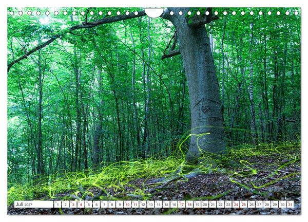 Produktbild: Natur und Tierparadies (Wandkalender 2027 DIN A4 quer), CALVENDO Monatskalender