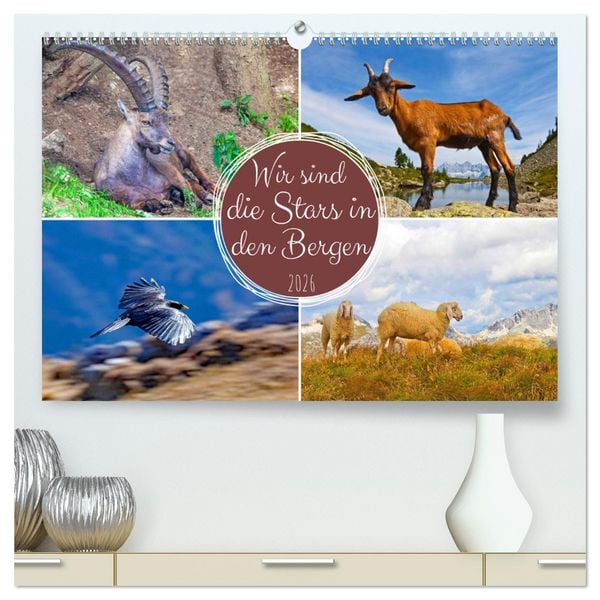Wir sind die Stars in den Bergen (hochwertiger Premium Wandkalender 2026 DIN A2 quer), Kunstdruck in Hochglanz
