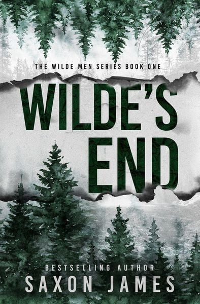 Produktbild: Wilde's End