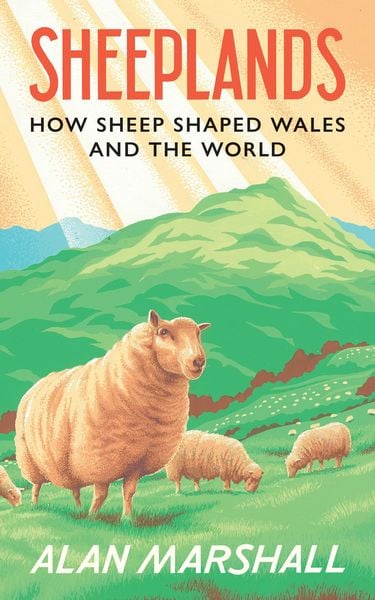 Produktbild: Sheeplands