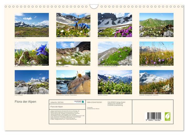 Produktbild: Flora der Alpen (Wandkalender 2026 DIN A3 quer), CALVENDO Monatskalender